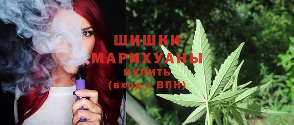 соль ск Алзамай