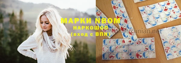 соль ск Алзамай